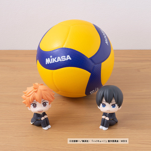 Lookup Haikyu!! Shoyo Hinata