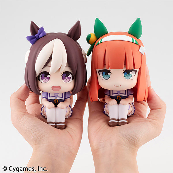Lookup Uma Musume Pretty Derby Silence Suzuka