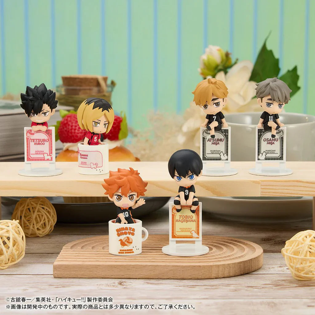 Ochatomo Series: Haikyu!! Break Time on the Top