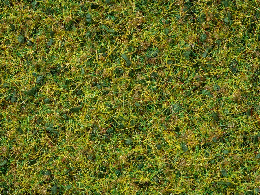 Master Grass Blend Cow Pasture