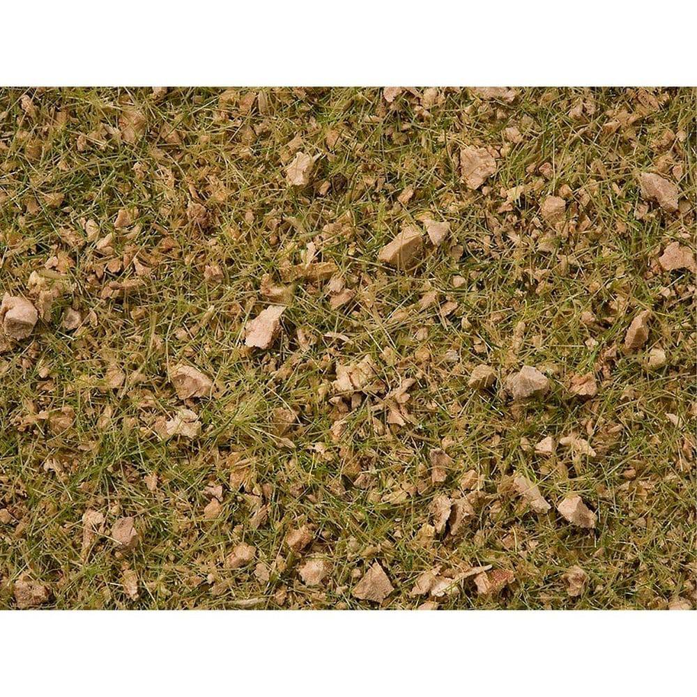 Master Grass Blend Alpine Meadow