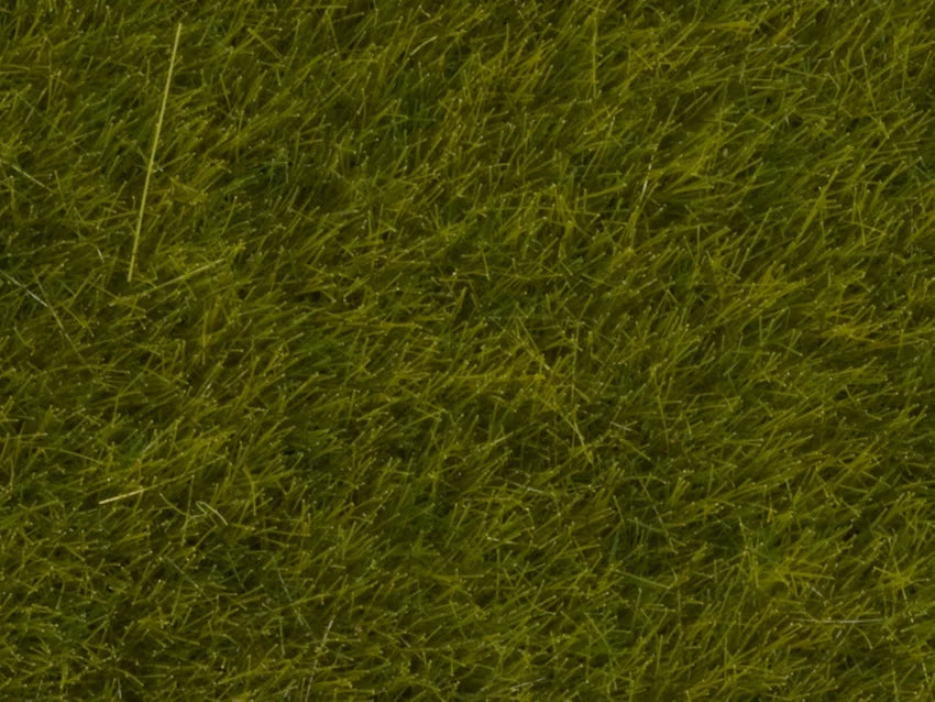 Wild Grass Meadow 6mm