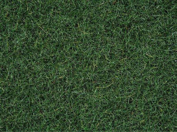 Scatter Grass Moor Ground 20g