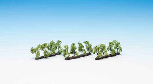 HO/TT Plantation Trees