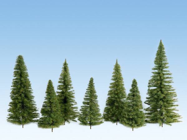 Spruces Med. Green 7-14cm 40pcs
