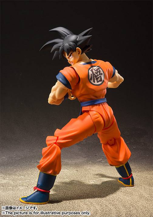 S.H.Figuarts Son Goku A Saiyan Raised On Earth