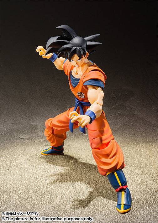 S.H.Figuarts Son Goku A Saiyan Raised On Earth