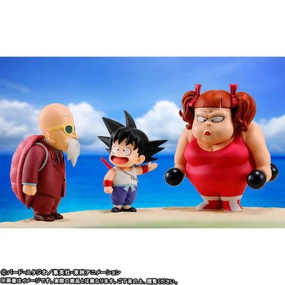 Dragon Ball World Collectable Figure Premuim-Kame House