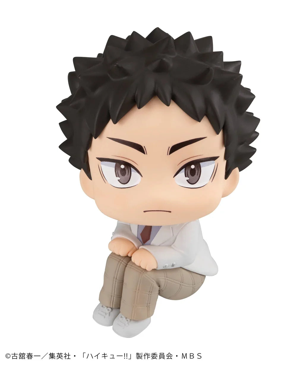 Lookup Haikyu!! Hajime Iwaizumi (Repeat)