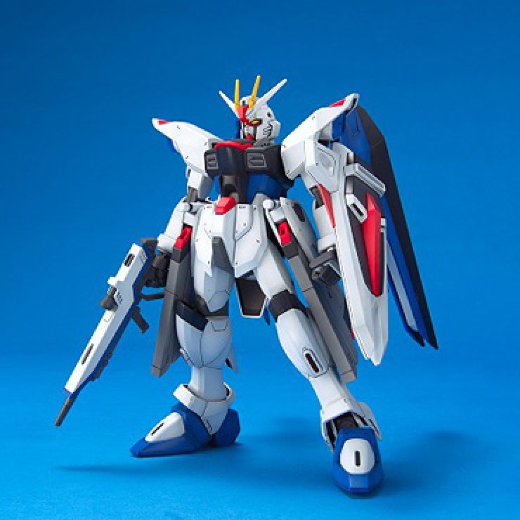 1/100 Freedom Gundam