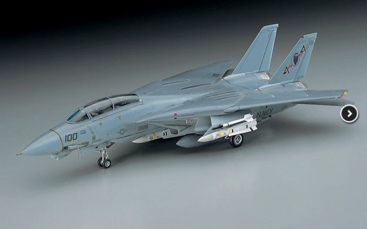 1/72 F-14A TOMCAT (Low Visibility)