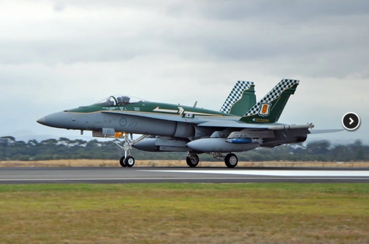 1/72 RAAF F/A-18A HORNET BUSHIDO GUARDIAN 19 [LIMITED EDITION]