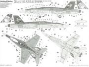 1/72 RAAF F/A-18A HORNET BUSHIDO GUARDIAN 19 [LIMITED EDITION]