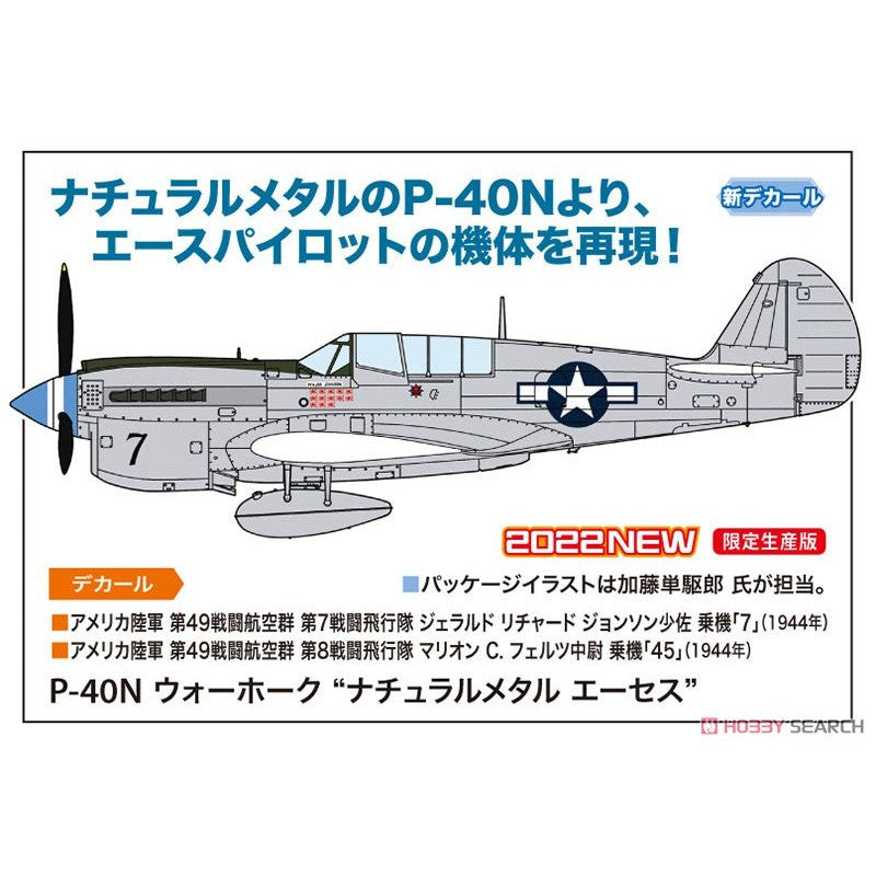 1/48 P-40N WARHAWK NATURAL METAL ACES [LIMITED EDITION]