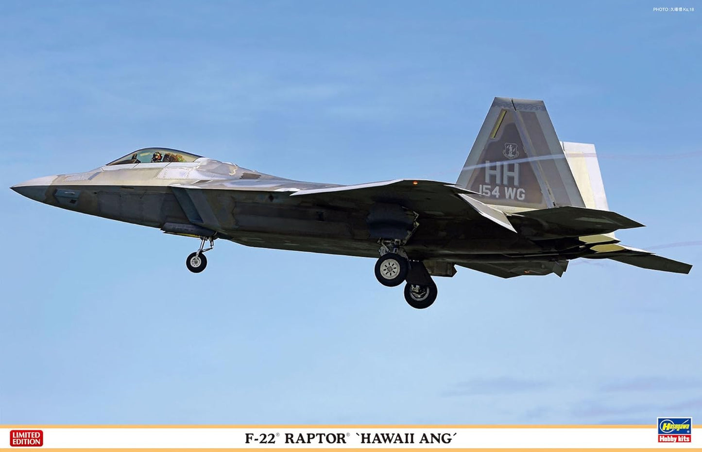 1/48 F-22 RAPTOR HAWAII ANG [LIMITED EDITION]