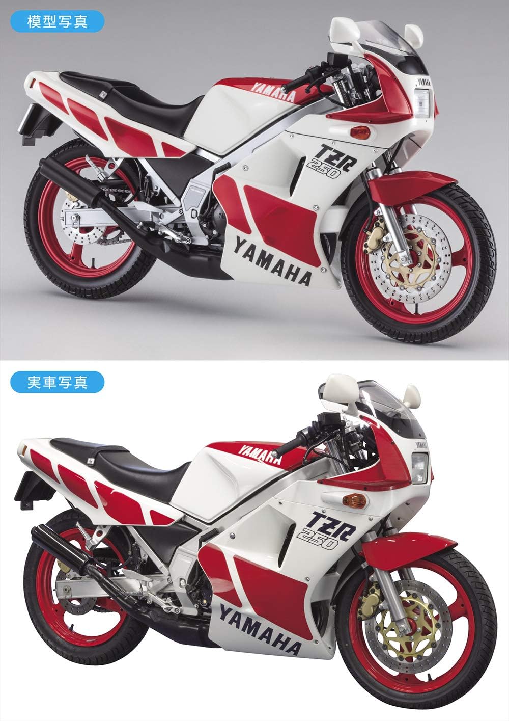 1/12 Yamaha TZR250 (1KT) 1985