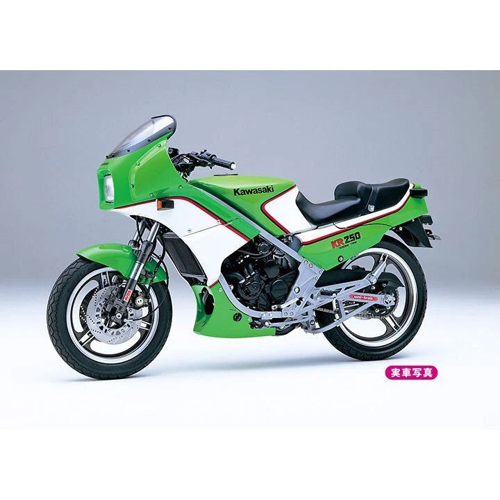 1/12 Kawasaki KR250 (KR250A) 1984