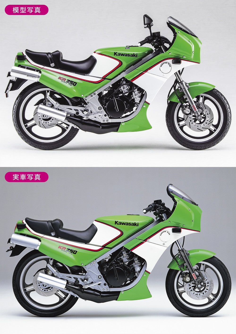 1/12 Kawasaki KR250 (KR250A) 1984