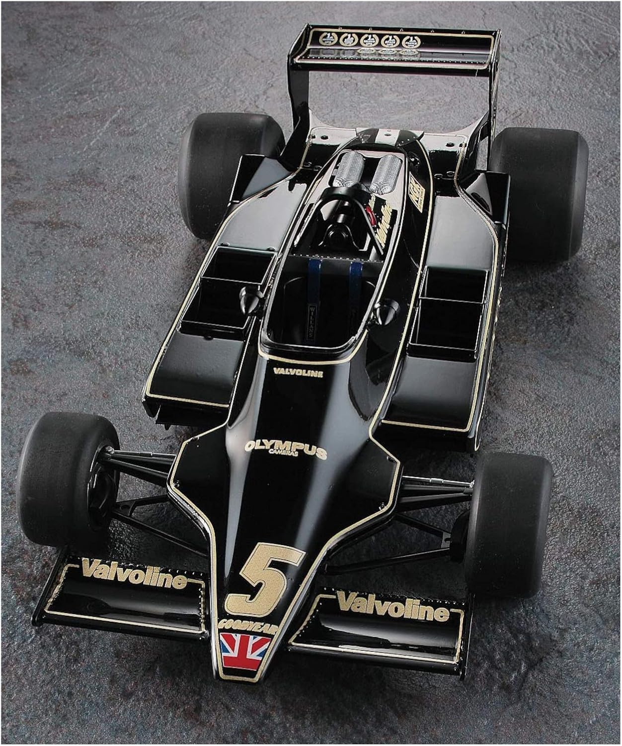 1/20 LOTUS 79 1978 GERMAN GP WINNER