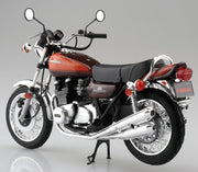 1/12 KAWASAKI 750RS Z2 '73 with Custom Parts