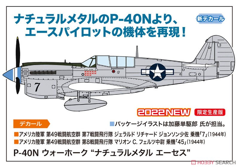 1/48  P-40N WARHAWK NATURAL METAL ACES