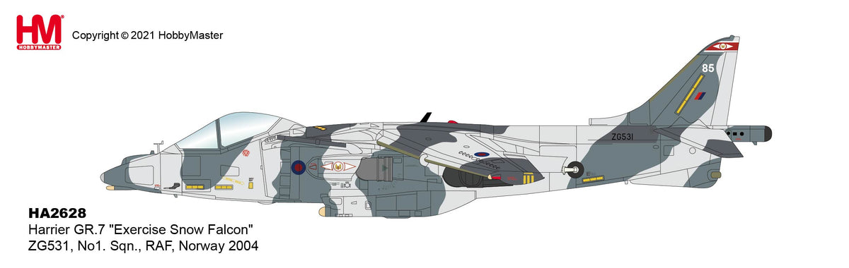 1/72 Harrier GR.7 â€œExercise Snow Falconâ€� ZG531 No1. Sqn. RAF Norway 2004
