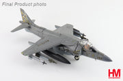 1/72Â AV-8B Harrier II 165425 VMA-542 US Marines 2019