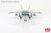 1/72 F/A-18C "Chippy Ho" NF400 CAG bird VFA-195 "Dambusters" 2010