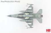 1/72 F-16B Fighting Falcon Block 20 MLU J-211 322 Squadron Polly Grey RNLAF Koninklijke Luchtmacht Leeuwarden Air Base 2006