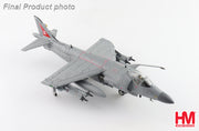 1/72 FA.2 ZH804 Royal Navy Fairford 2002 (w/ Sea Eagle missiles)