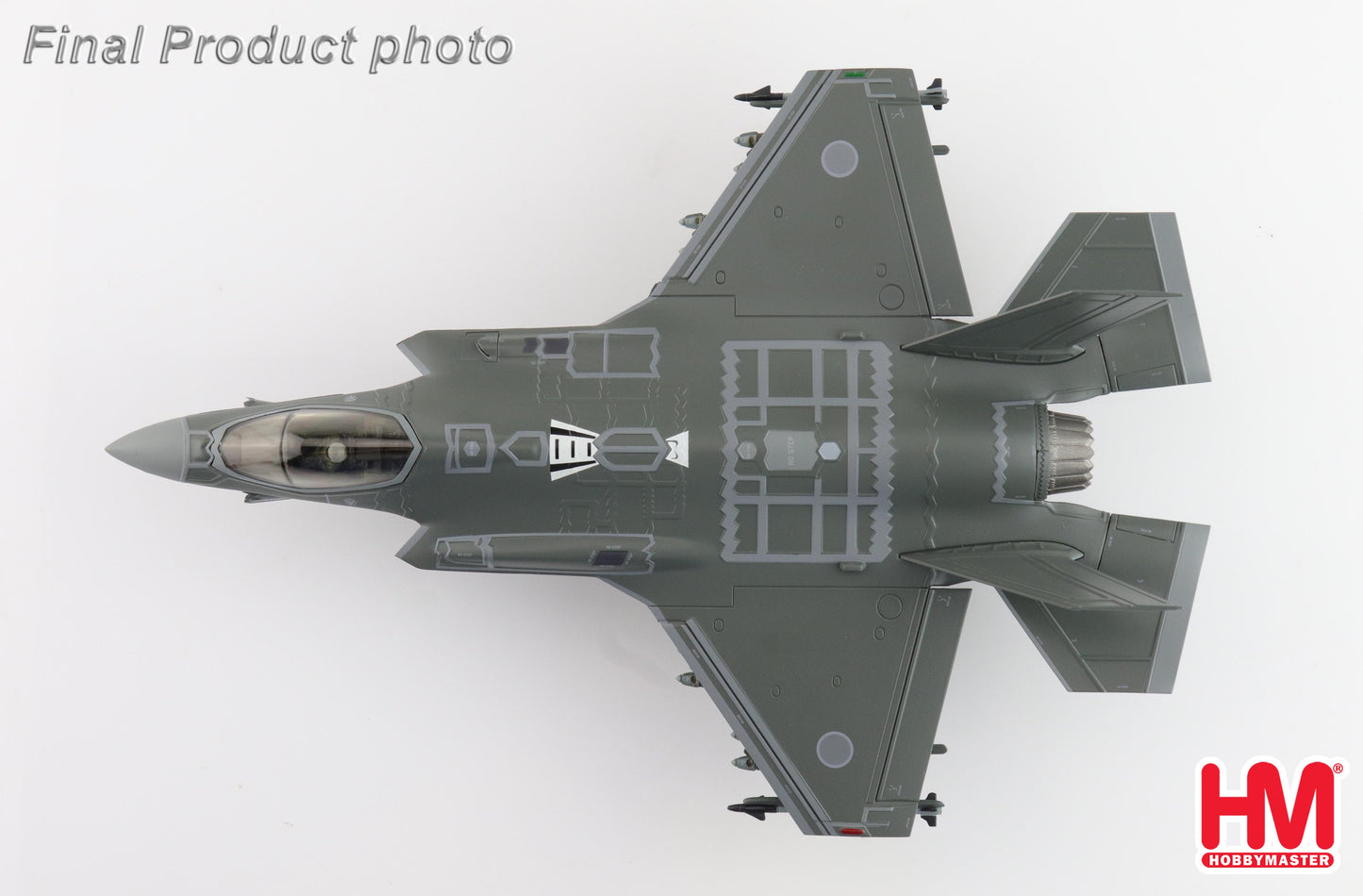 1/72 F-35A Lightning II 69-8702 302nd FS JASDF (with Painted RAM Panels)