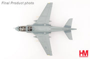 1/72 EA-6B Prowler" Eve of Destruction" 163527 VAQ-141 "Shadowhawks" Operation Desert Storm 1991
