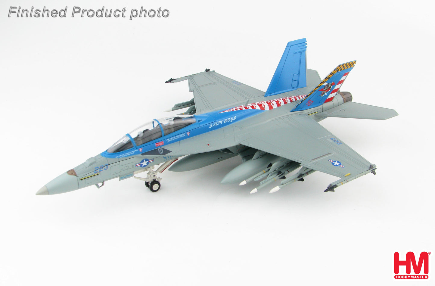1/72 F/A-18F Super Hornet 165801 VX-23 "Salty Dogs" Naval Air Station Patuxent River 2016