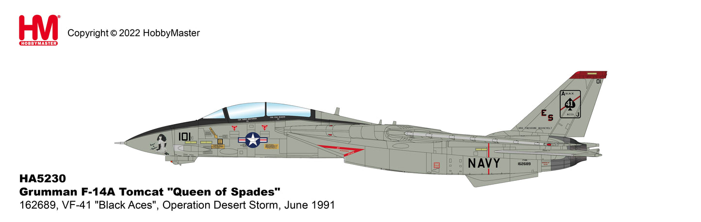 1/72 F-14A "Queen of Spades" 162689 VF-41 "Black Aces" Operation Desert Storm June 1991