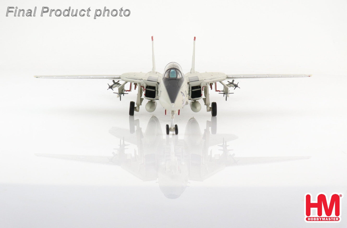 1/72 F-14A "Queen of Spades" 162689 VF-41 "Black Aces" Operation Desert Storm June 1991