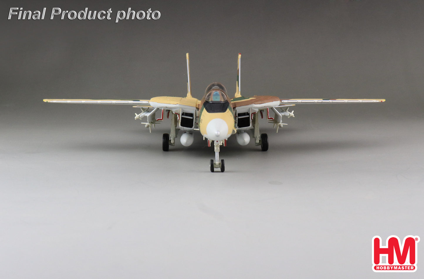 1/72 F-14A Tomcat 3-6020 82nd TFS IRIAF IRIAF Islamic Republic Of Iran Air Force Khatami Air Base 1987