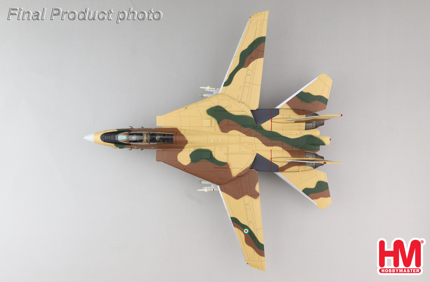 1/72 F-14A Tomcat 3-6020 82nd TFS IRIAF IRIAF Islamic Republic Of Iran Air Force Khatami Air Base 1987