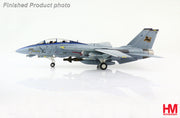 1/72 F-14D Tomcat US Navy No 164347 VF-213 Black Lions 2006 "Final Cruise"