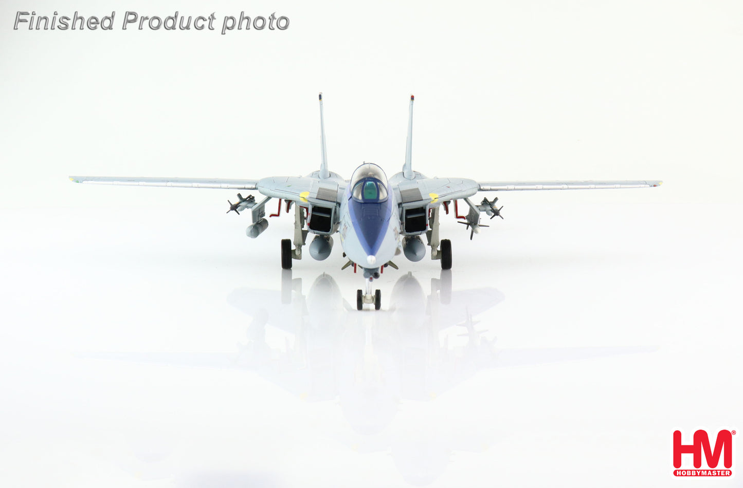 1/72 F-14D Tomcat US Navy No 164347 VF-213 Black Lions 2006 "Final Cruise"