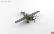 1/72 P-40N "Black Magic" HU-E 78 Sqn. RAAF Morotai Early 1945