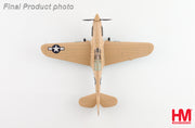 1/72 P-40N Warhawk "Geronimo!" Lt. Bruce Campbell 45th FS Dec. 1943