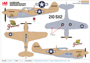 1/72 P-40N Warhawk "Geronimo!" Lt. Bruce Campbell 45th FS Dec. 1943