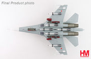 1/72 Su-27 Flanker B B388 Paris le Bourget 1989 (with Climbing Ladder No Wing Tip Missiles)
