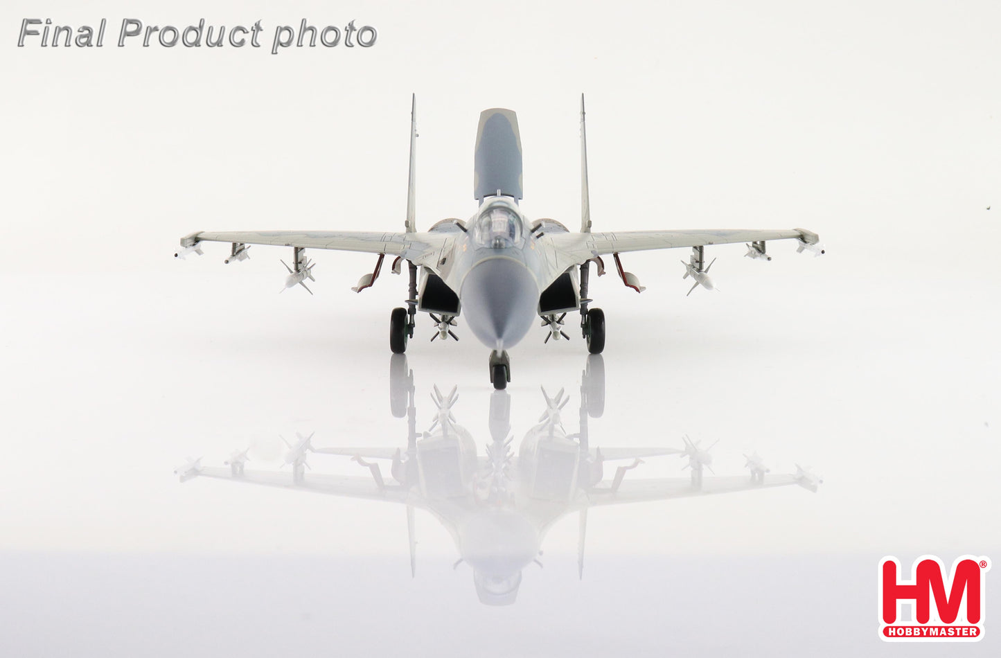 1/72 Su-27 "Compass Ghost Grey scheme" Ukrainian Air Force 2023 (with AGM-88 and IRIS-T Missiles)