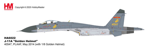 1/72 J-11A "Golden Helmet" 40547 PLAAF May 2014 (with 1/8 Golden Helmet)