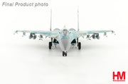 1/72 Su-27K (T10K-5) Blue 79 Russian Air Force 1995 (with KH-41 "Moskit")