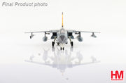 1/72 Tornado IDS "Holloman AFB" 46+05 FlgAusZLw May 2014