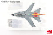1/72 Tornado IDS "Holloman AFB" 46+05 FlgAusZLw May 2014