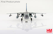 1/72 Tornado IDS "Air Defender 2023" 44+69 TLG 51 Luftwaffe Schleswig Jagel AB June 2023