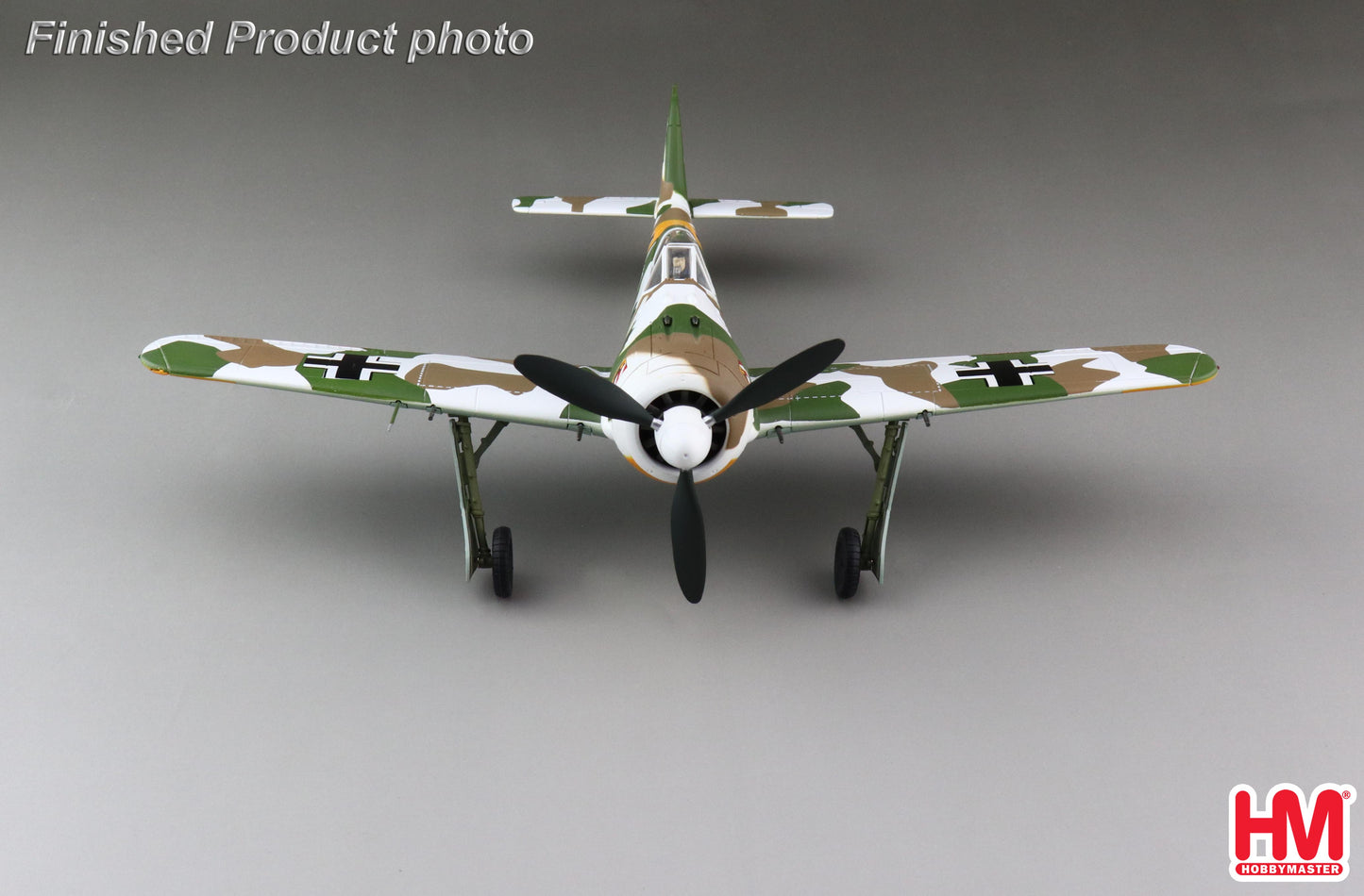 1/48 Fw-190A-4 Luftwaffe flown by Oblt. W. Nowotny CO of 1./JG 54 Staraya Russa March 1943